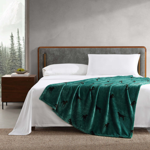 Throw Blankets Wayfair